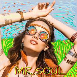 Mr. Soul