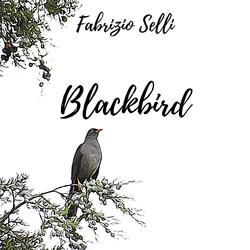 Blackbird