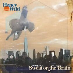 Sweat on the Brain