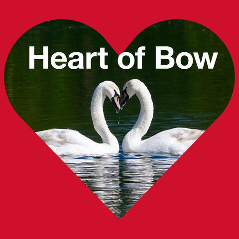 Heart of Bow