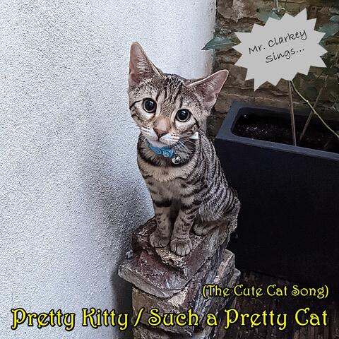 Pretty Kitty / Such a Pretty Cat (The Cute Cat Song)