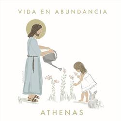 Vida en Abundancia
