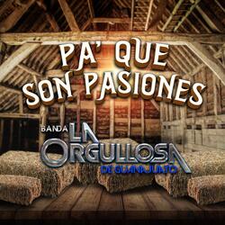 Pa’ Que Son Pasiones