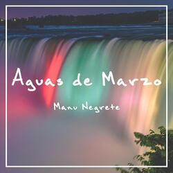 Aguas de Marzo