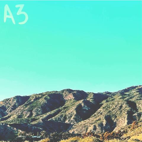 A3