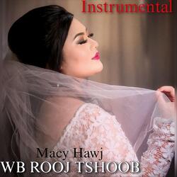 Wb Rooj Tshoob (Instrumental)