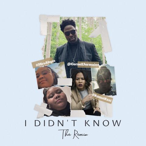 I Didn't Know (Remix)