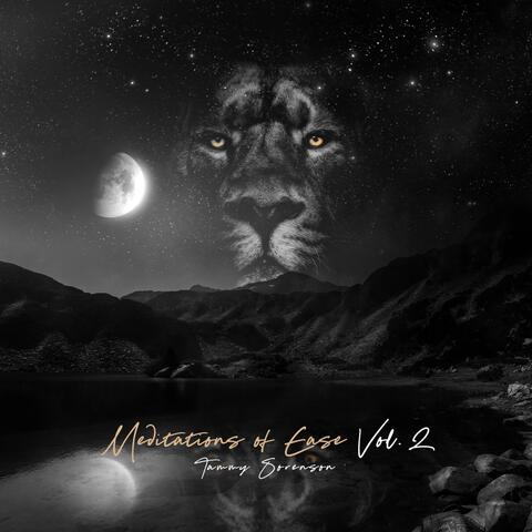 Meditations of Ease Vol. 2