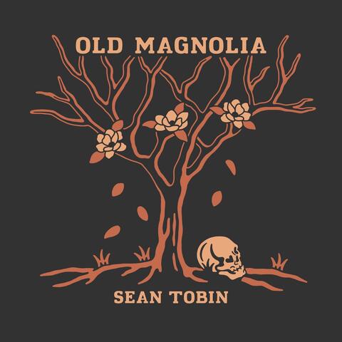 Old Magnolia