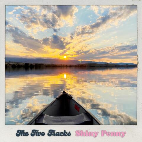 Shiny Penny
