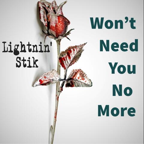 Won't Need You No More