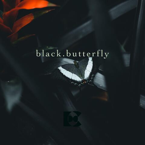 black.butterfly