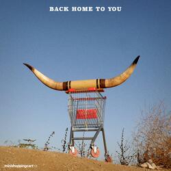 Back Home to You