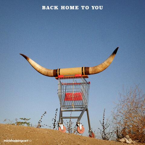Back Home to You