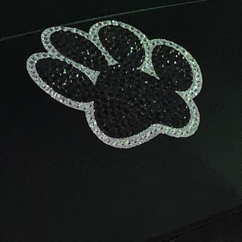 Monkey See Monkey Do