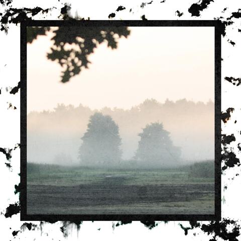 Morning Mist
