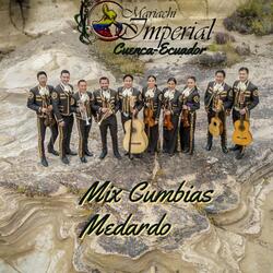 Mix Cumbias Medardo