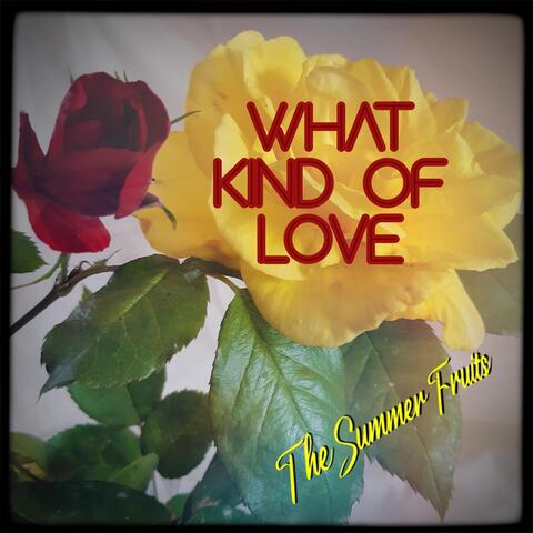 What Kind of Love