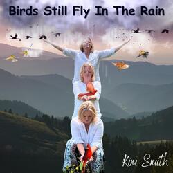 Birds Still Fly in the Rain