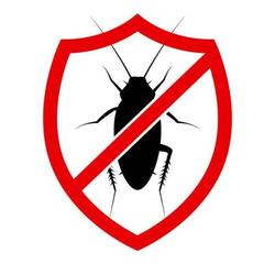 Home Pest Control
