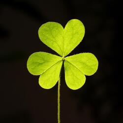 Get Your Irish Up (Live)