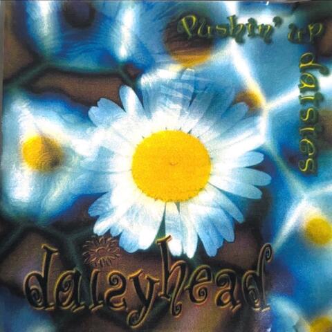 Daisyhead