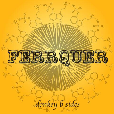Donkey B Sides