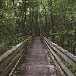 Acceptance & Commitment