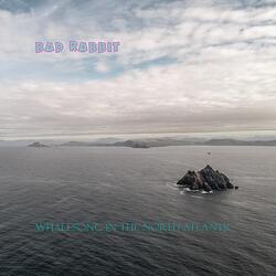 Whalesong in the North Atlantic