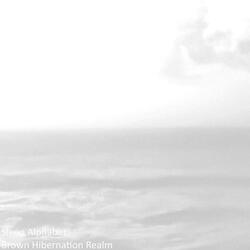 Pink Feathered Slumber