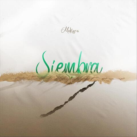 Siembra