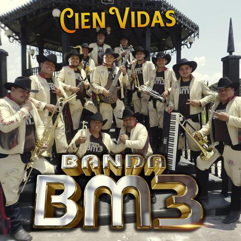 Banda BM3