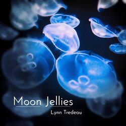 Moon Jellies