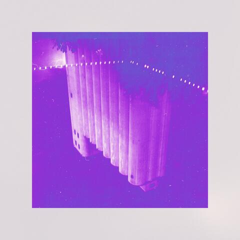 Shadows In the Night (Dream Sessions)