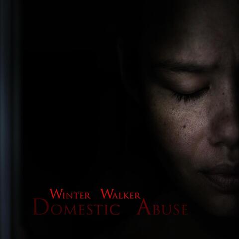 Domestic Abuse