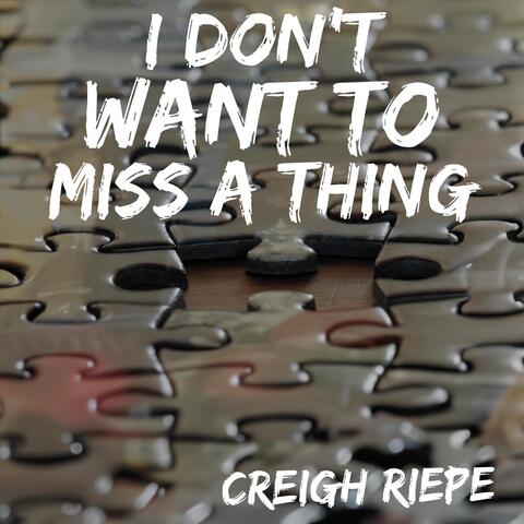 I Don't Want to Miss a Thing