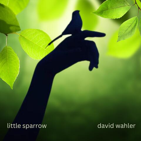 Little Sparrow