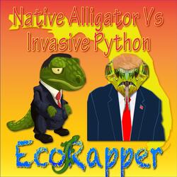 Native Alligator Vs Invasive Python