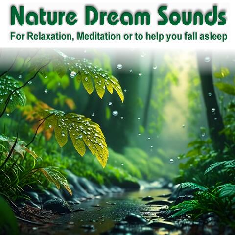 Nature Dream Sounds - For Relaxation, Meditation or to help you fall asleep