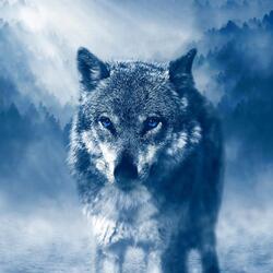 Wolves (feat. Frank Goguen, Izabelle & Suzanne Léger)