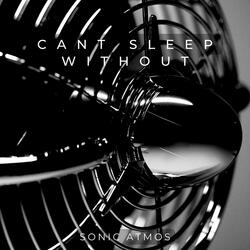 Can't Sleep Without