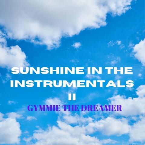 Sunshine in the Instrumentals II