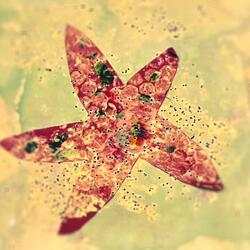 I Want to Go About My Day