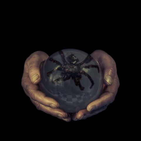 The Spider's Eyes (2023 Remaster)