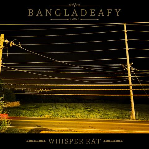 Whisper Rat