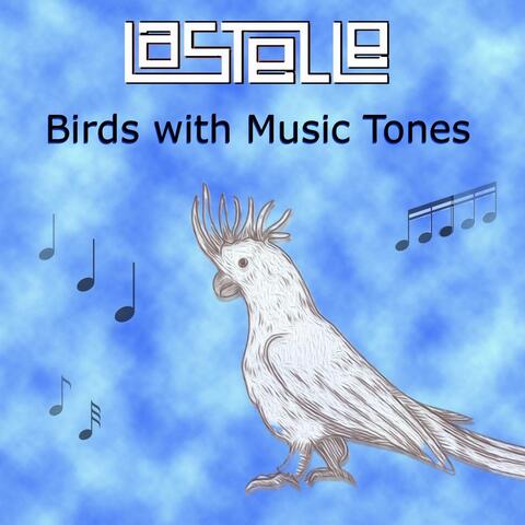 Birds with Music Tones