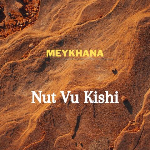Nut Vu Kishi