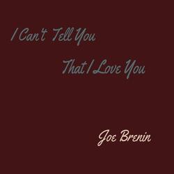 I Can't Tell You That I Love You