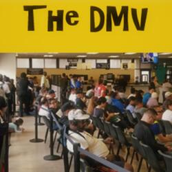 The DMV