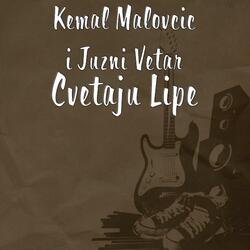 Cvetaju Lipe (feat. Juzni Vetar)